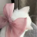 eye mor. 四日市店 石井のプロフィール画像