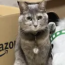 かりん ♪のプロフィール画像