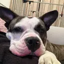 宮脇 彩華のプロフィール画像