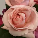 リラク寝murin。 オーナー鈴木のプロフィール画像