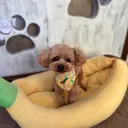 快眠セラピスト 松田のプロフィール画像