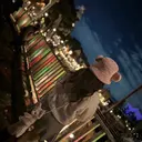 中澤 里奈のプロフィール画像