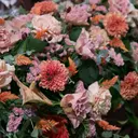 樋口 絵理華のプロフィール画像