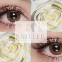 BRILLER ブリエのプロフィール画像