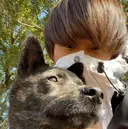 🐶拓磨🐶 /SIGMAのプロフィール画像