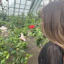 木村 かんなのプロフィール画像