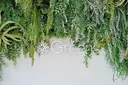 Greens Yokoのプロフィール画像