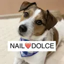 NAIL DOLCEのプロフィール画像