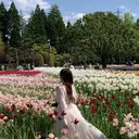 Ai / Limier 金沢店のプロフィール画像