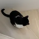 D.d nail miyuのプロフィール画像