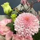 池田 愛美理のプロフィール画像