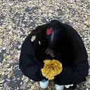 hina🦋西梅田 カラーモデル募集中のプロフィール画像