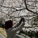 mi yuのプロフィール画像