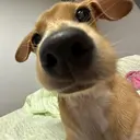 前田 泉美のプロフィール画像