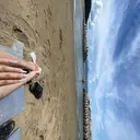 Nobody_ Linのプロフィール画像