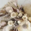 仲井 琴美のプロフィール画像