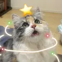 THE PEAKのプロフィール画像