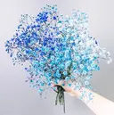 久屋大通DEE Iwahashiのプロフィール画像