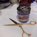 五十嵐 蒔穂のプロフィール画像