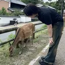 学生の味方 / Yuta🏕️のプロフィール画像