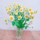 LEGA🥨 obataのプロフィール画像