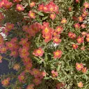 山形 麻利奈のプロフィール画像