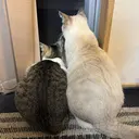 外山 郁未のプロフィール画像