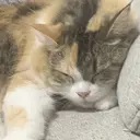 千野 わかこのプロフィール画像