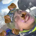 🐰カラー/ボブ/ manato🦊のプロフィール画像