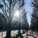 COTON人形町 YUKIのプロフィール画像