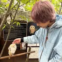 はしもと じんのプロフィール画像