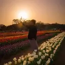 HEARTS 神保町 meguのプロフィール画像