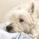 レアナル 横浜店のプロフィール画像