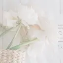 渡邊 有里のプロフィール画像