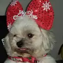 野崎 テレシアのプロフィール画像