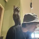 松永 大地のプロフィール画像