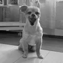 樫原 なおこのプロフィール画像