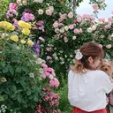 ♡ ••┈渡邊 晴香┈•• ♡のプロフィール画像