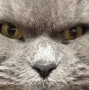 Rina モデル募集中🌟のプロフィール画像