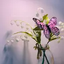 MAE&KALE STUDIOのプロフィール画像