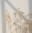 Li-fra KUNIIのプロフィール画像