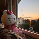 mo moのプロフィール画像