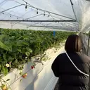 blink. nanaのプロフィール画像