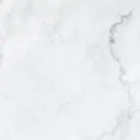 伊藤 綺莫のプロフィール画像