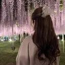 板倉 理恵のプロフィール画像