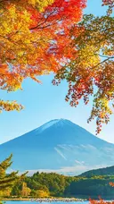 早川 好美のプロフィール画像