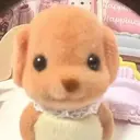 富澤 麗奈のプロフィール画像