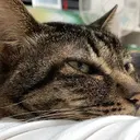 永田 結梨弥のプロフィール画像