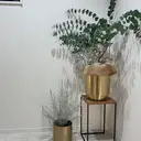 Maks 大迫のプロフィール画像