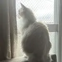 島袋 あいさのプロフィール画像